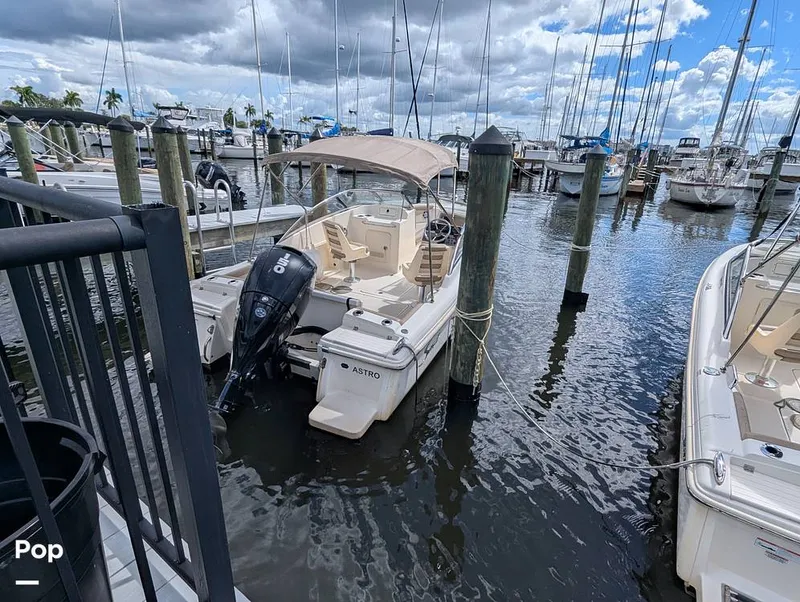 Slide: The Image of Scout 210 Dorado 2023 - 15925632