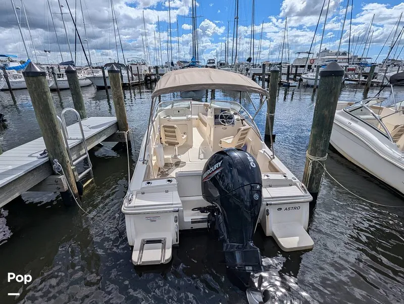 Slide: The Image of Scout 210 Dorado 2023 - 15925633