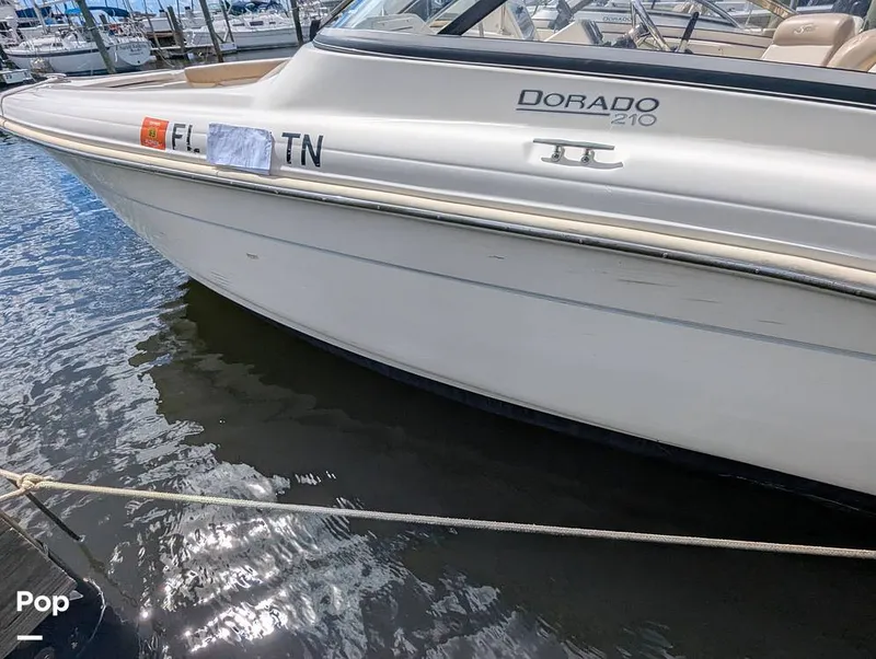 Slide: The Image of Scout 210 Dorado 2023 - 15925636