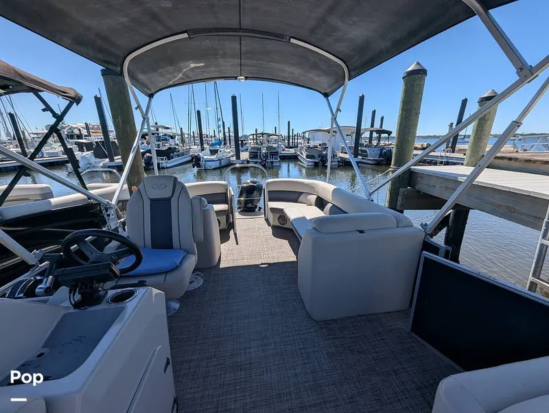 Slide: The Image of Harris 230CR 2023 - 15951040