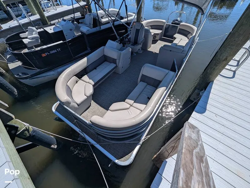 Slide: The Image of Harris 230CR 2023 - 15951099