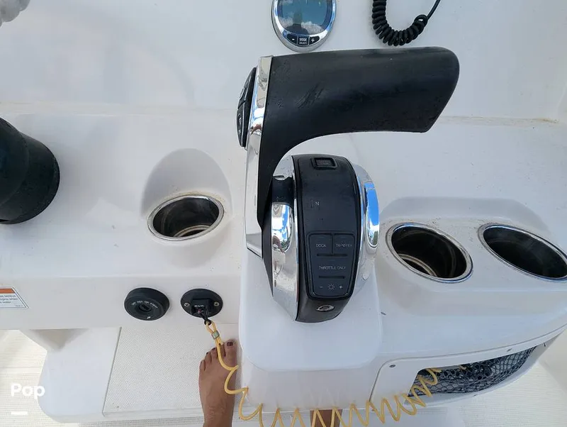 Slide: The Image of Sailfish 242 CC 2022 - 15930686