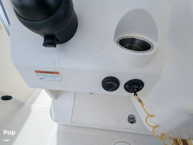 Slide: The Image of Sailfish 242 CC 2022 - 15930687