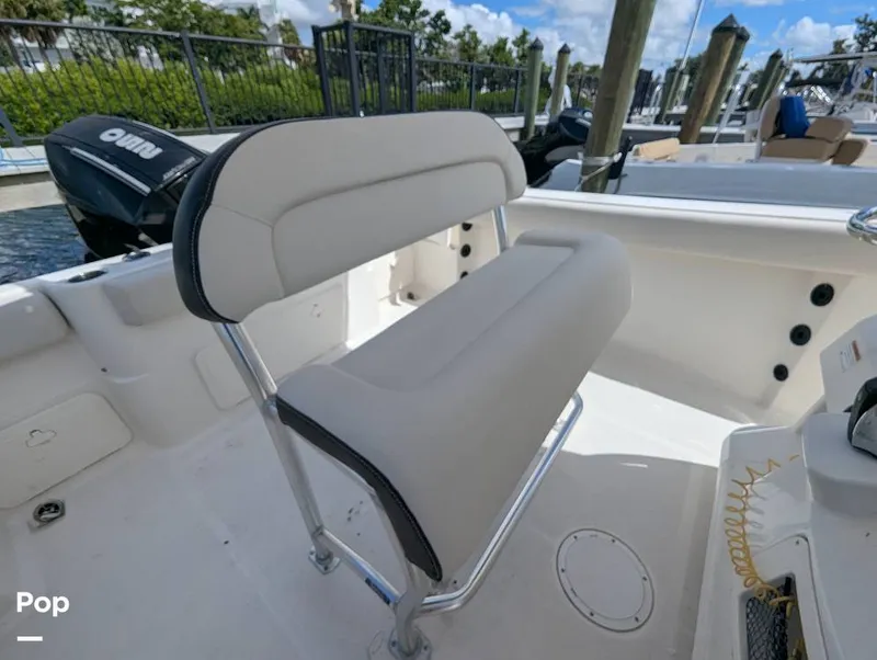 Slide: The Image of Sailfish 242 CC 2022 - 15930691