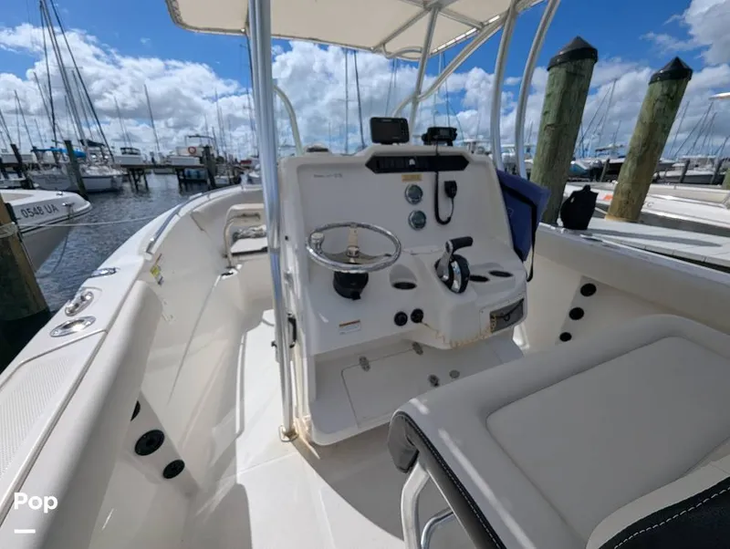 Slide: The Image of Sailfish 242 CC 2022 - 15930674