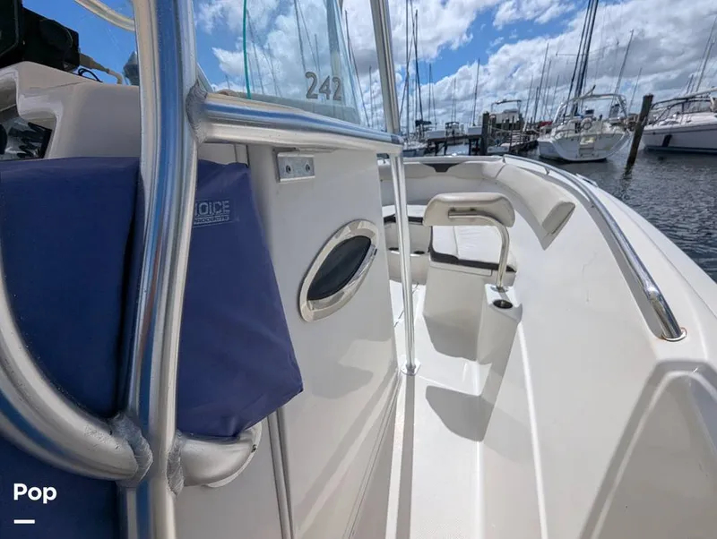 Slide: The Image of Sailfish 242 CC 2022 - 15930692