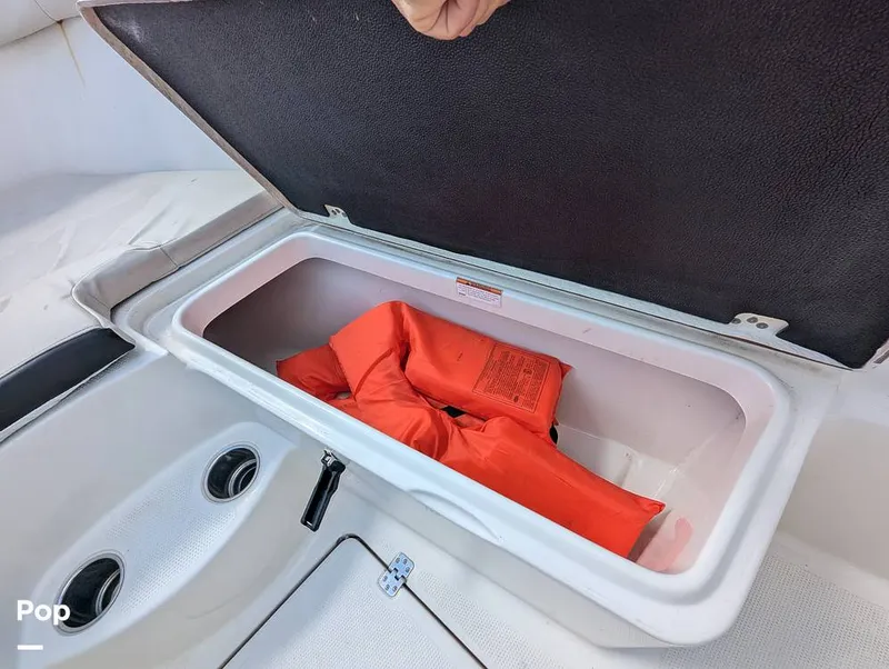 Slide: The Image of Sailfish 242 CC 2022 - 15930695