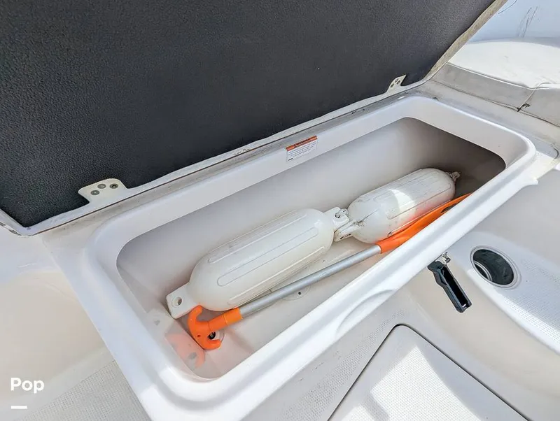 Slide: The Image of Sailfish 242 CC 2022 - 15930696