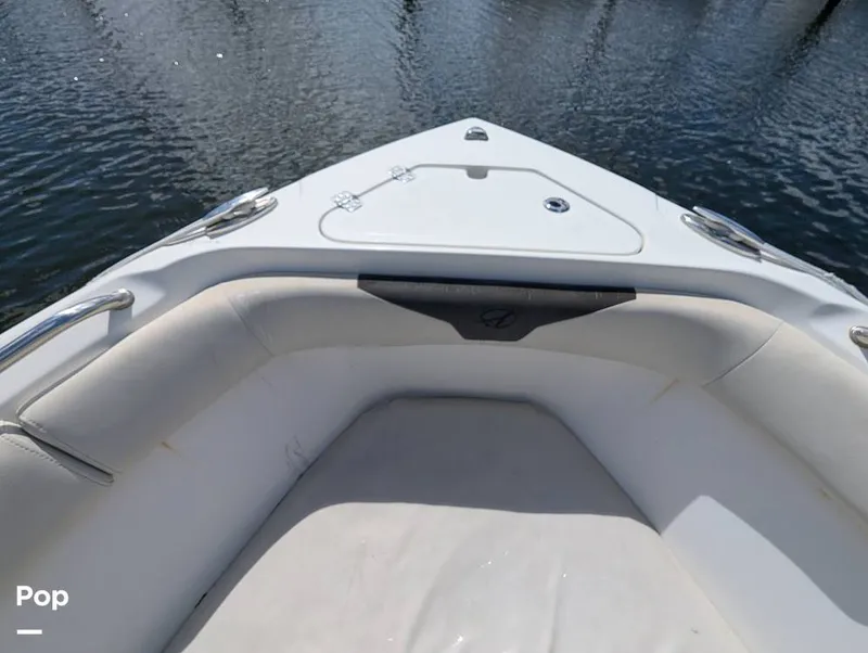 Slide: The Image of Sailfish 242 CC 2022 - 15930697