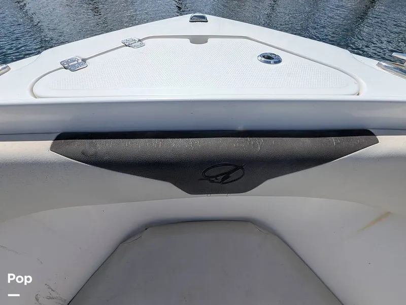 Slide: The Image of Sailfish 242 CC 2022 - 15930698