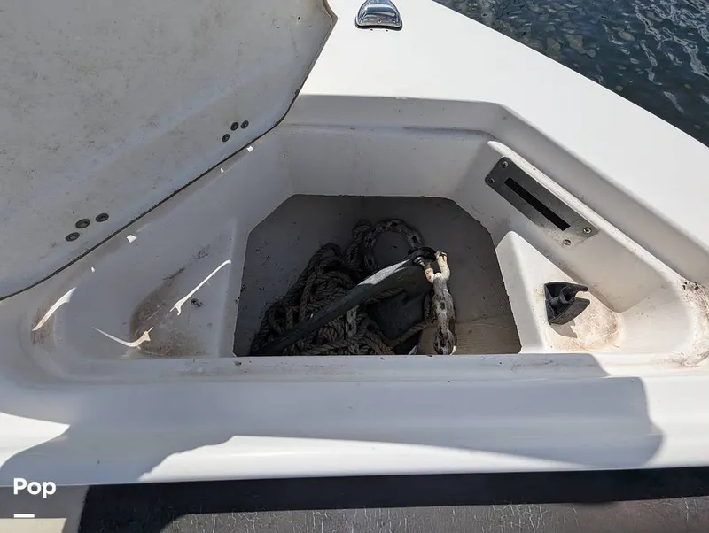 Slide: The Image of Sailfish 242 CC 2022 - 15930699