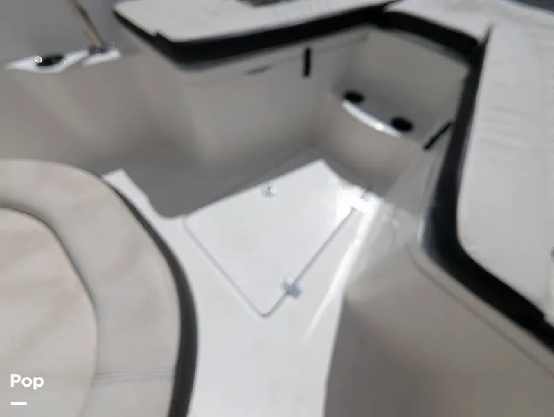 Slide: The Image of Sailfish 242 CC 2022 - 15930701