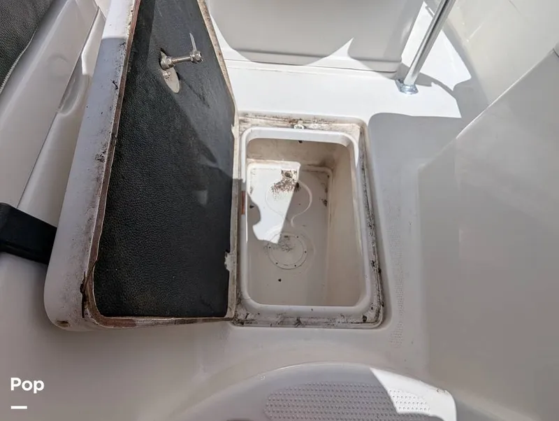 Slide: The Image of Sailfish 242 CC 2022 - 15930703