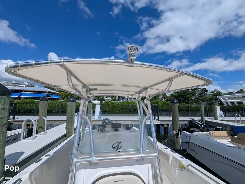 Slide: The Image of Sailfish 242 CC 2022 - 15930704