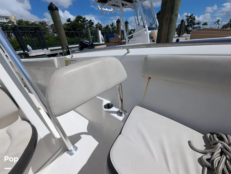 Slide: The Image of Sailfish 242 CC 2022 - 15930705