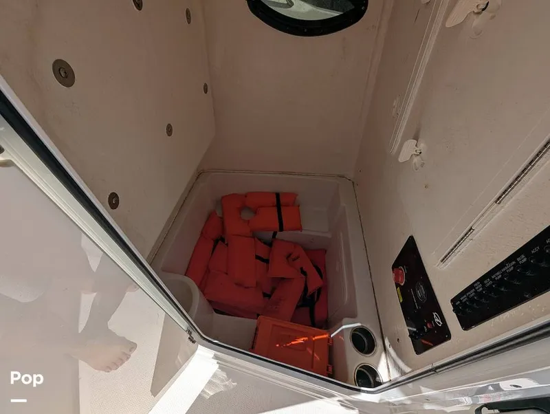 Slide: The Image of Sailfish 242 CC 2022 - 15930708