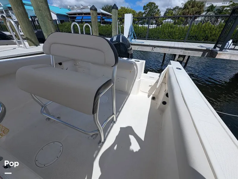 Slide: The Image of Sailfish 242 CC 2022 - 15930711