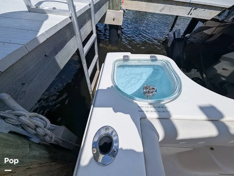 Slide: The Image of Sailfish 242 CC 2022 - 15930713