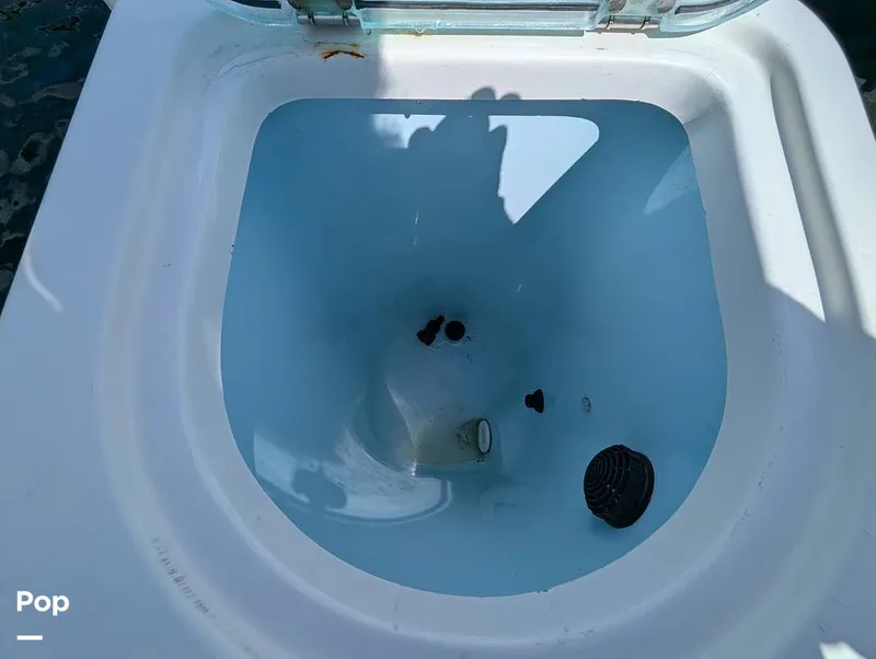 Slide: The Image of Sailfish 242 CC 2022 - 15930714