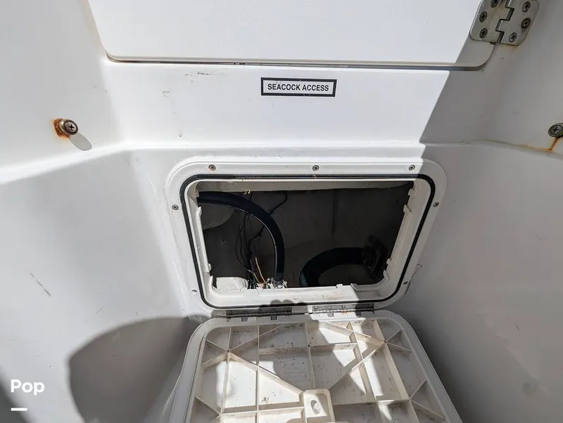 Slide: The Image of Sailfish 242 CC 2022 - 15930720