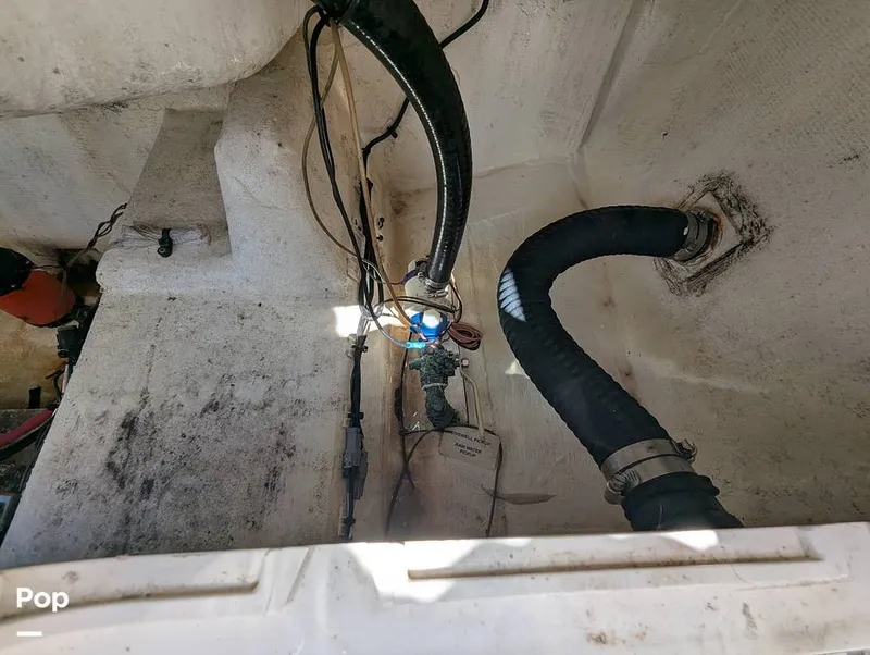 Slide: The Image of Sailfish 242 CC 2022 - 15930721