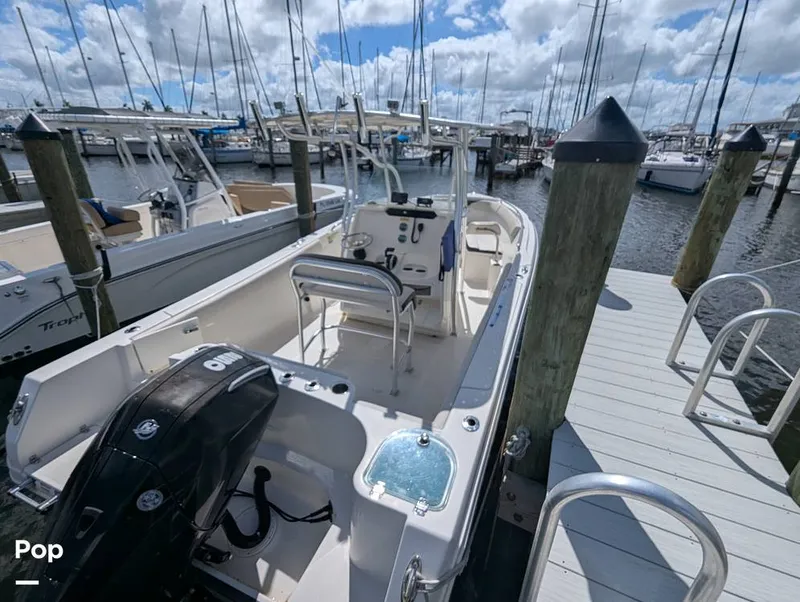 Slide: The Image of Sailfish 242 CC 2022 - 15930677