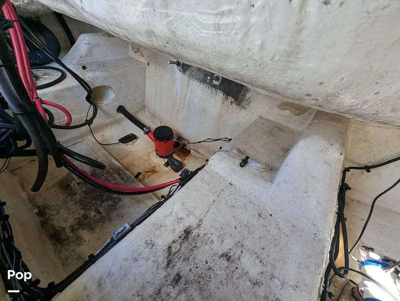 Slide: The Image of Sailfish 242 CC 2022 - 15930722