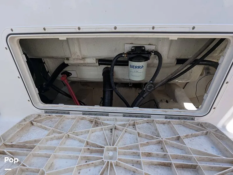 Slide: The Image of Sailfish 242 CC 2022 - 15930723