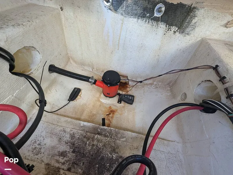 Slide: The Image of Sailfish 242 CC 2022 - 15930724