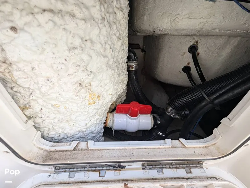 Slide: The Image of Sailfish 242 CC 2022 - 15930725