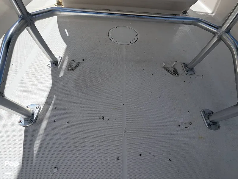 Slide: The Image of Sailfish 242 CC 2022 - 15930727