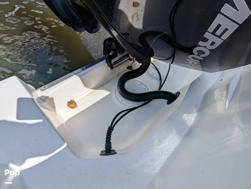 Slide: The Image of Sailfish 242 CC 2022 - 15930729