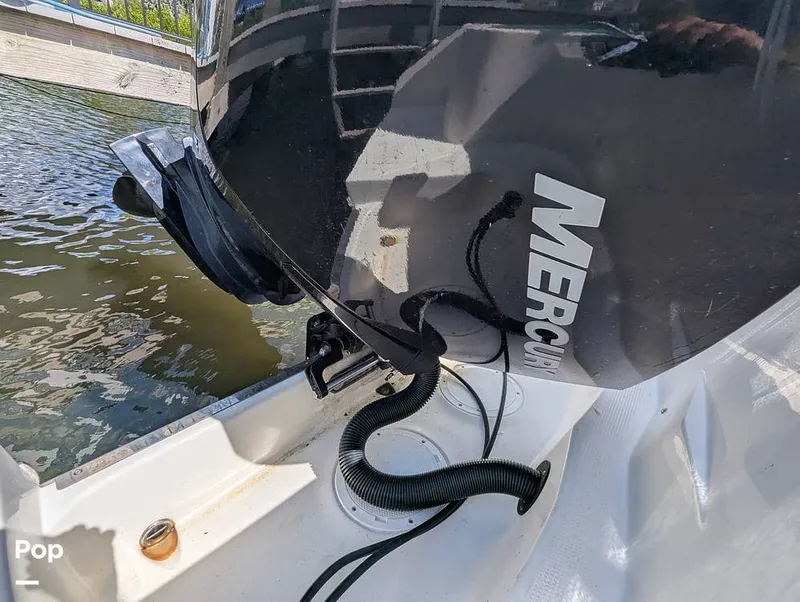 Slide: The Image of Sailfish 242 CC 2022 - 15930730