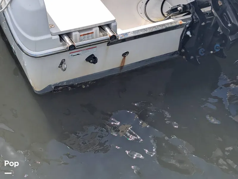 Slide: The Image of Sailfish 242 CC 2022 - 15930732