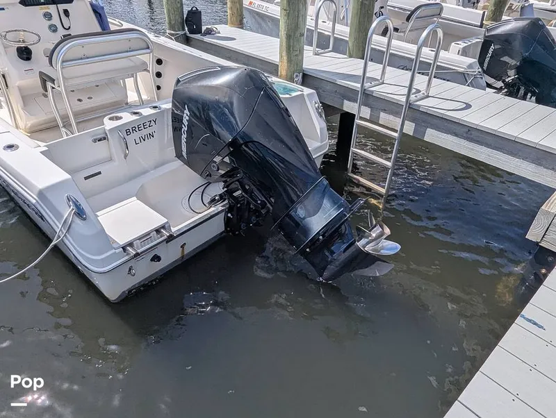 Slide: The Image of Sailfish 242 CC 2022 - 15930733