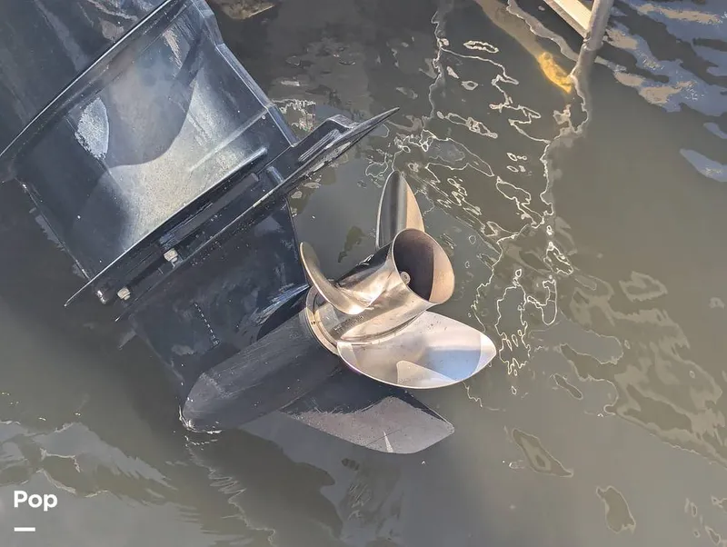 Slide: The Image of Sailfish 242 CC 2022 - 15930734