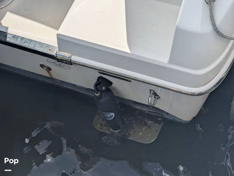 Slide: The Image of Sailfish 242 CC 2022 - 15930735