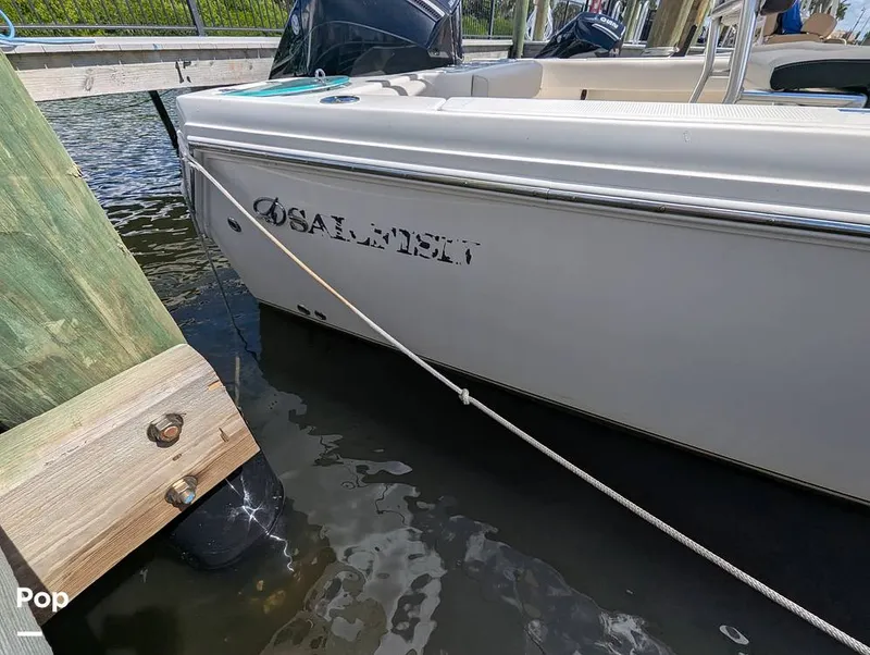 Slide: The Image of Sailfish 242 CC 2022 - 15930737