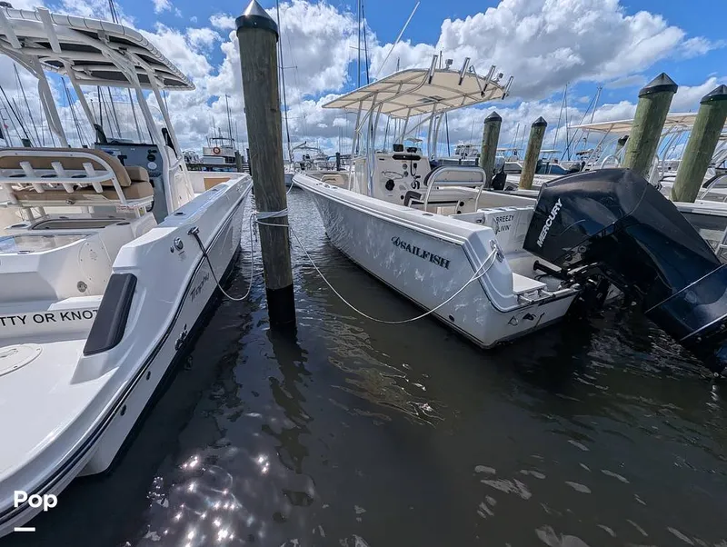 Slide: The Image of Sailfish 242 CC 2022 - 15930739