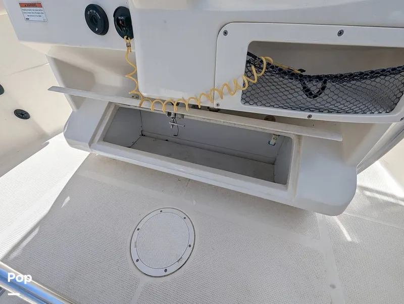 Slide: The Image of Sailfish 242 CC 2022 - 15930740