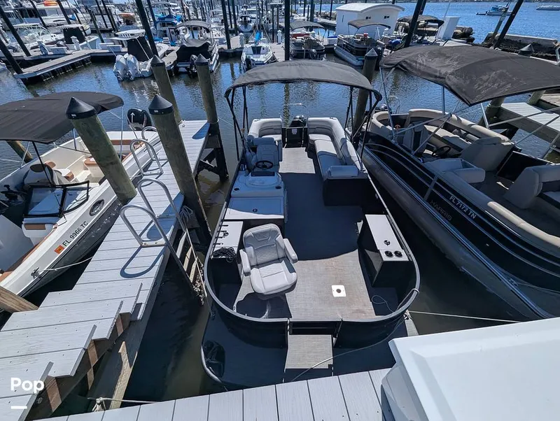 Slide: The Image of Lowe SF 232 2024 - 15951201