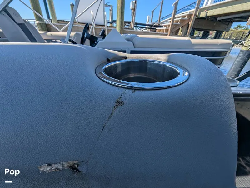 Slide: The Image of Lowe SF 232 2024 - 15951221