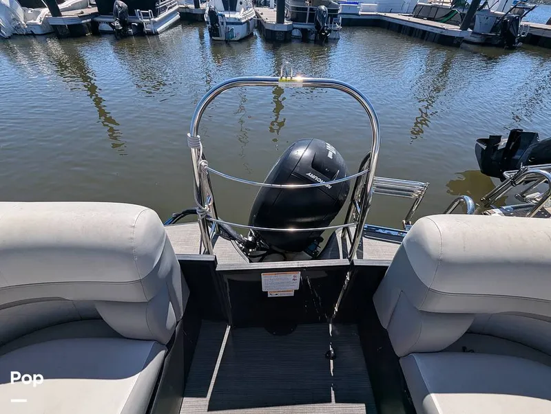 Slide: The Image of Lowe SF 232 2024 - 15951223