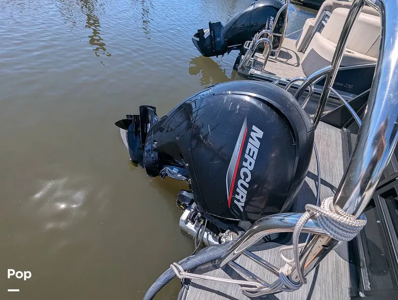 Slide: The Image of Lowe SF 232 2024 - 15951227