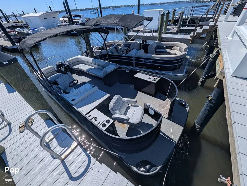 Slide: The Image of Lowe SF 232 2024 - 15951202