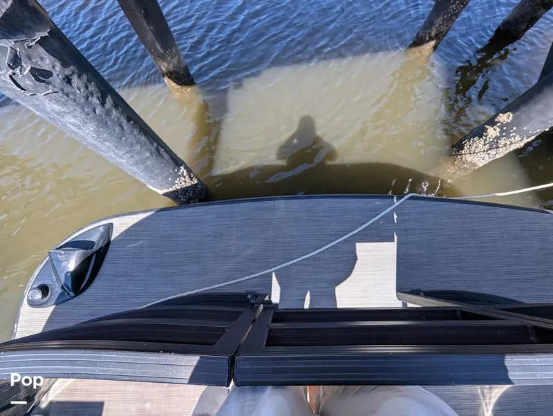 Slide: The Image of Lowe SF 232 2024 - 15951244