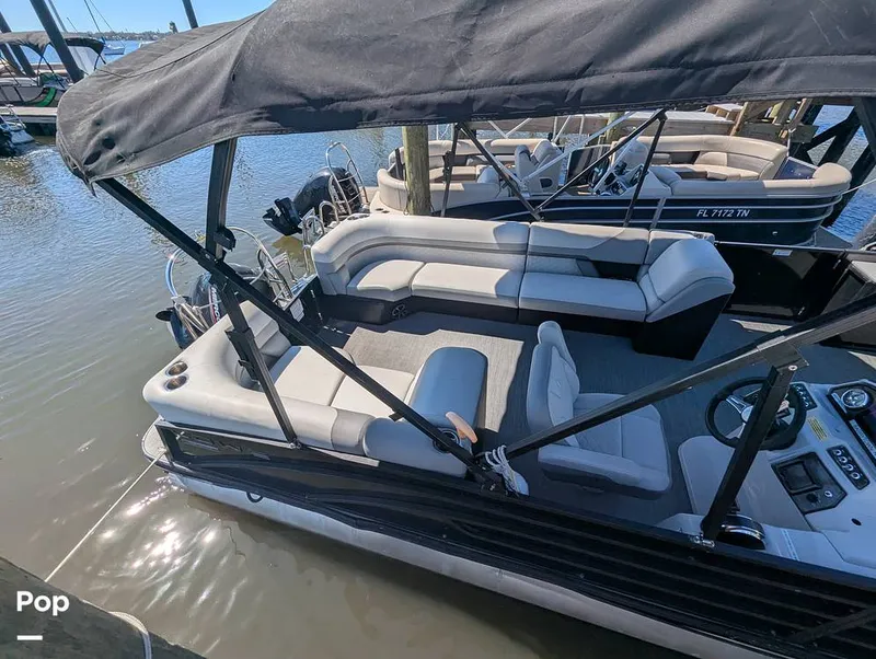 Slide: The Image of Lowe SF 232 2024 - 15951248