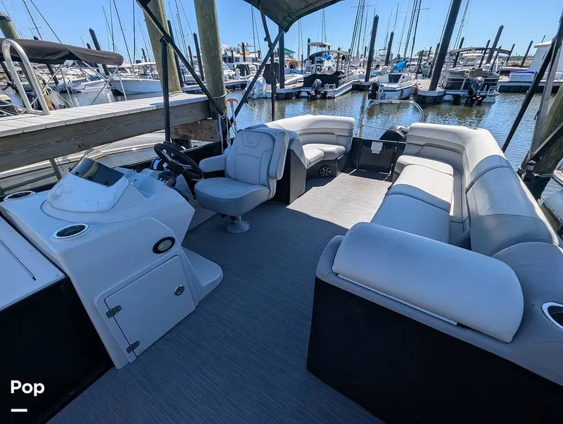 Slide: The Image of Lowe SF 232 2024 - 15951204