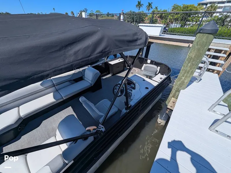 Slide: The Image of Lowe SF 232 2024 - 15951250