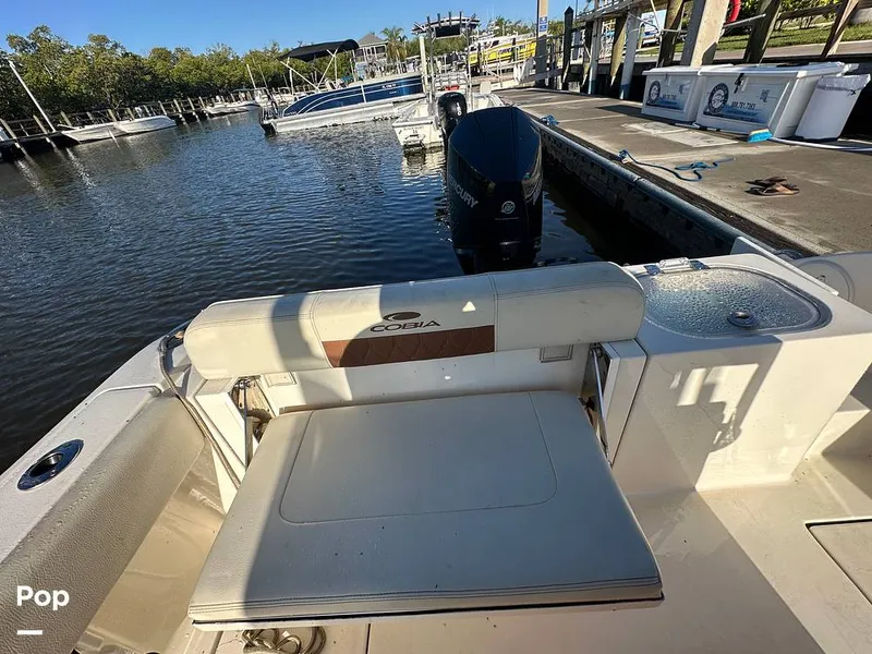 Slide: The Image of Cobia 237 CC 2023 - 16432973
